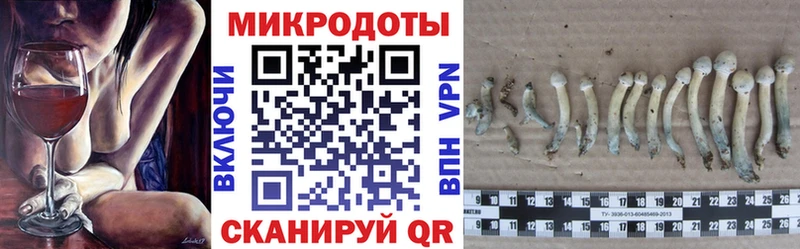 Галлюциногенные грибы Magic Shrooms  купить  сайты  Высоцк 